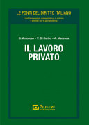 Copertina  Il lavoro privato